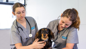 CertAnimalTechnology